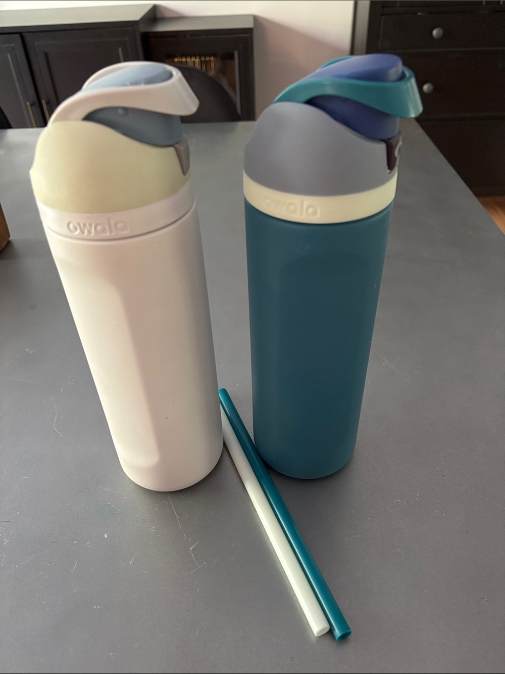 Owalo Insulated Water Bottle Duo — White and Teal Blue